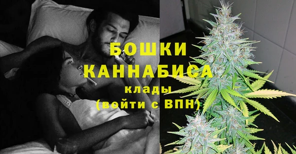 дурь Пересвет