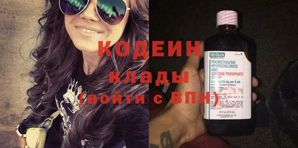 дурь Пересвет
