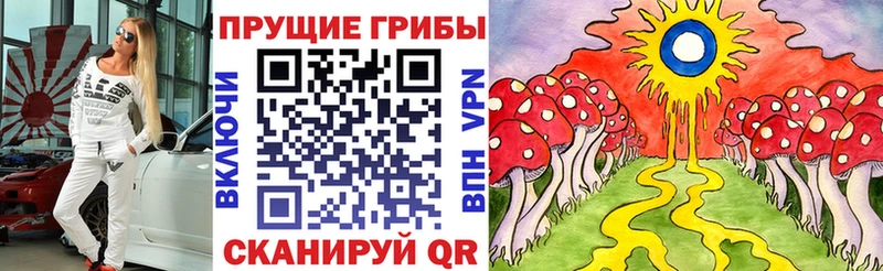 Псилоцибиновые грибы прущие грибы  Балей 