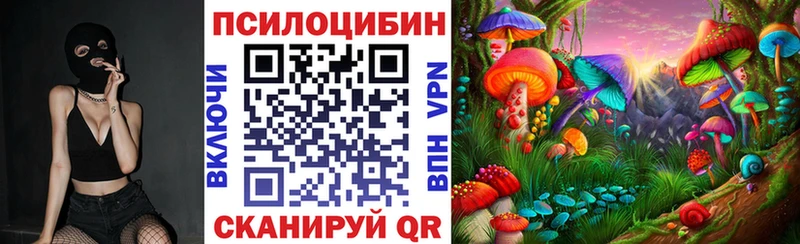 Галлюциногенные грибы Psilocybe Балей