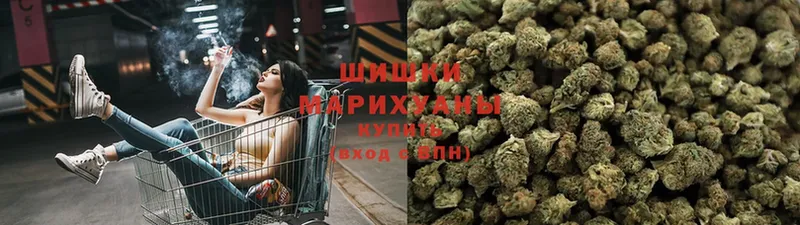 цена   Балей  Шишки марихуана OG Kush 